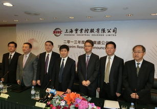 上海实业续力拓光伏项目