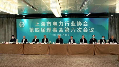 海郑实业再次担任上海市电力行业协会理事会会议监票人